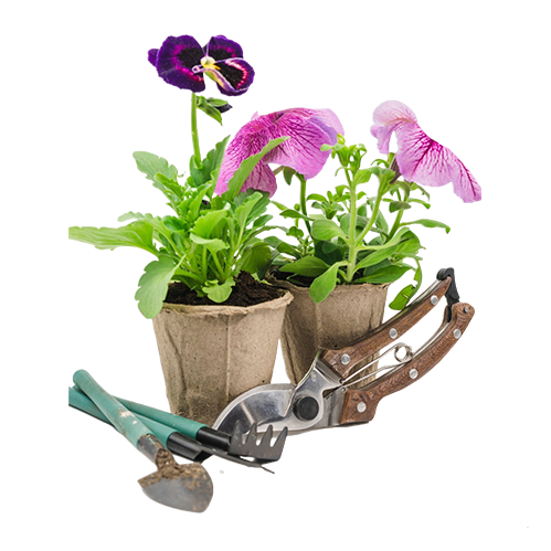 Gardening & Outdoor